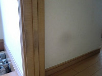 ペット　キズ